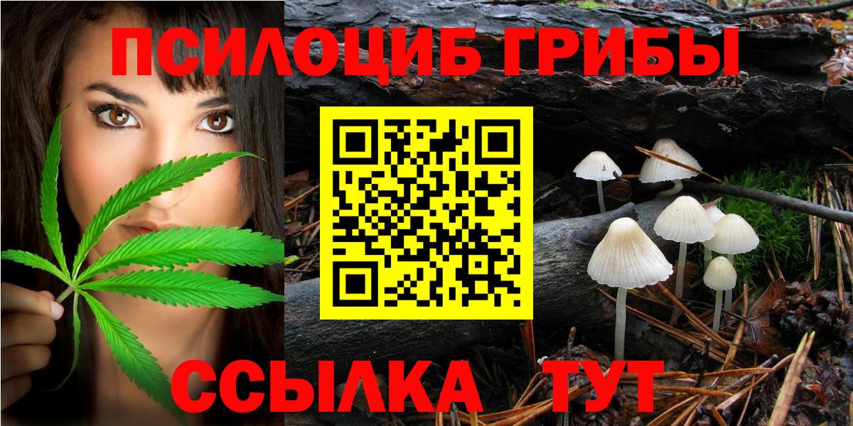 Галлюциногенные грибы мицелий Азнакаево