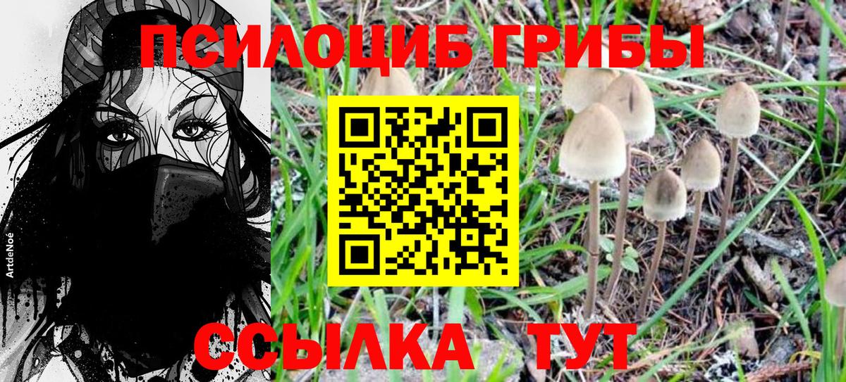 Псилоцибиновые грибы Psilocybine cubensis  Вход с VPN  цены   Азнакаево 